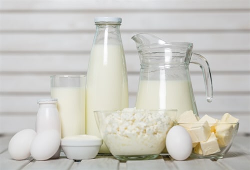 Calcium Based Foods