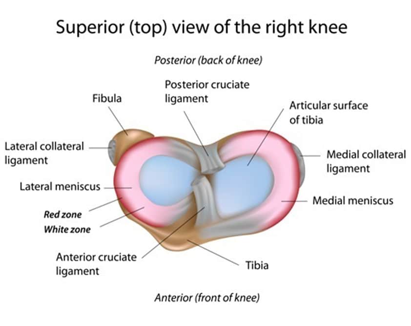 What You Need to Know About Bum Knees1